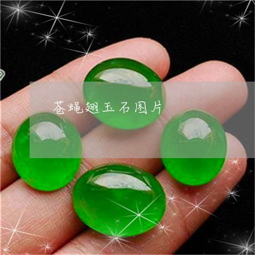 从“苍蝇翅”到生态警示 翡翠光泽与粘蝇带的现实分野